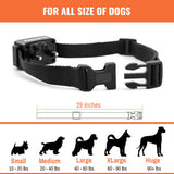 Waterproof and Rechargeable Electric Dog Training Collar